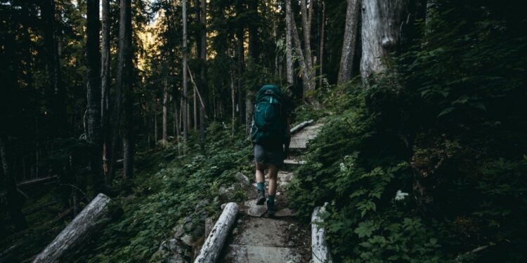 5 accesorios que debes empacar para hacer un viaje a la selva