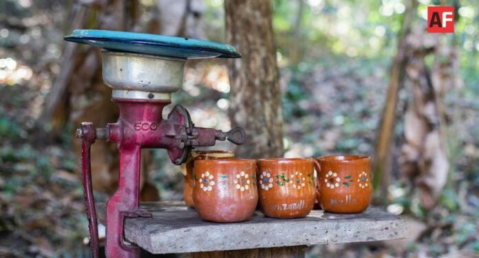 Ayuntamiento de Manzanillo invita a colimenses a asistir al Festival del Café en Canoas | AFmedios .