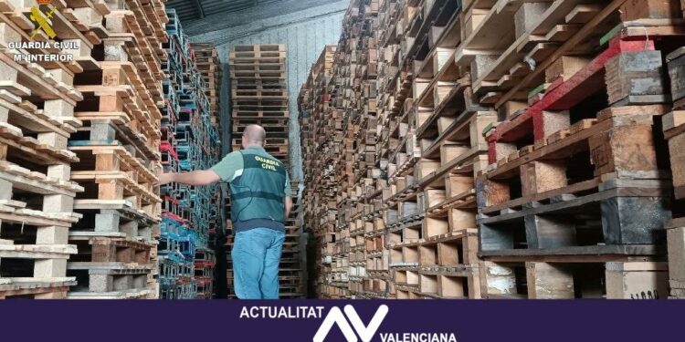 Caen 2 grupos criminales que sustraían palés en la provincia de València