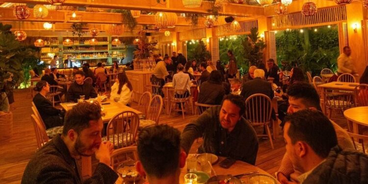 Conoce Palapa, un oasis citadino con comida caribeña