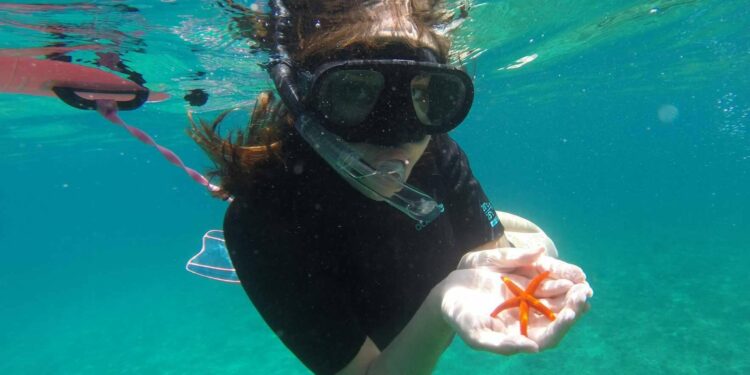 Conocer Marsella con las excursiones para cruceros de Planetazur Experiences