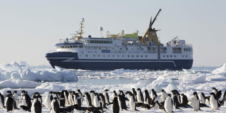 EMPRESA REGALA UNA EXPEDICIÓN A LA ANTÁRTICA