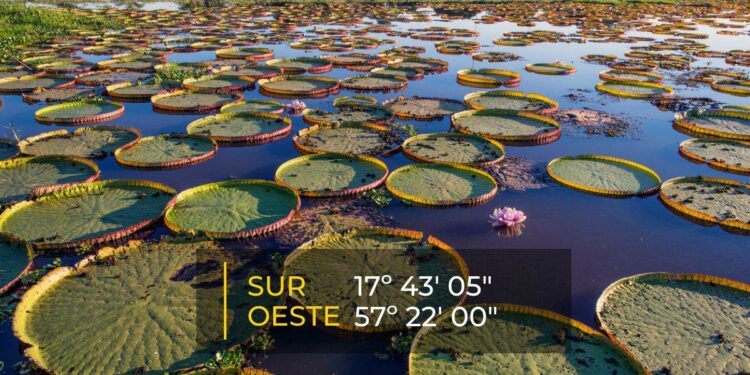 El humedal más grande del planeta