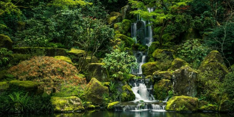 El parque natural rodeado de cascadas en medio de la naturaleza en Monterrey