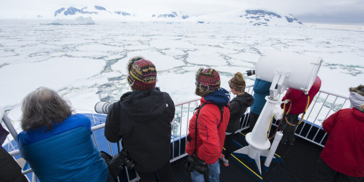 Empresa regala una expedición a la Antártica para conocer la fauna polar