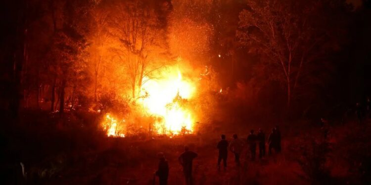 Evacuaron a poblados rurales del sur de Chile amenazados por los incendios sin control