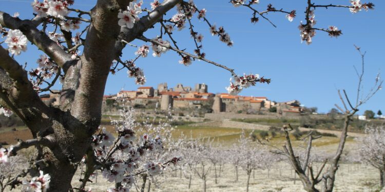 Figueira de Castelo Rodrigo inaugura la primavera en Portugal