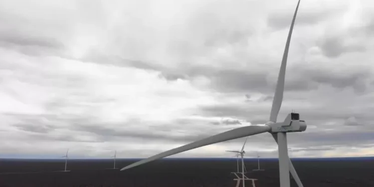 parque eolico madryn Genneia