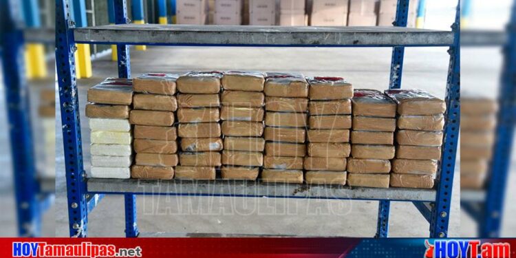 Hoy Tamaulipas - Decomisan mas de 1.9 millones de dolares en cocaina en Texas