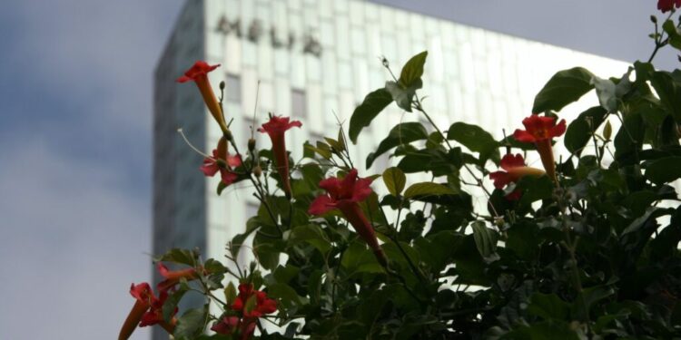 Meliá Hotels oportunidades en 2023