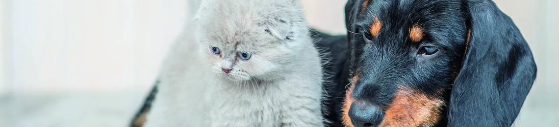 Informe 2023 del sector de Pet Food