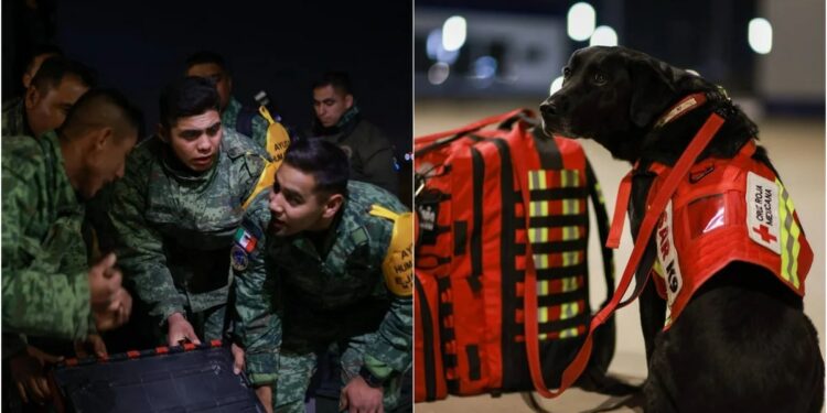 Las imágenes de los rescatistas mexicanos que apoyarán en Turquía