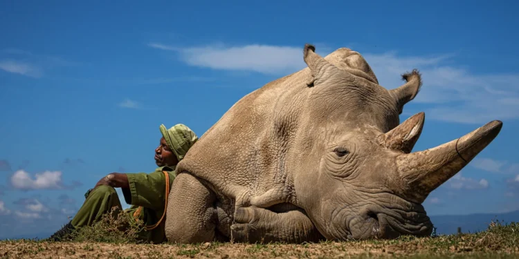 Las mejores fotografías de viajes de 2022