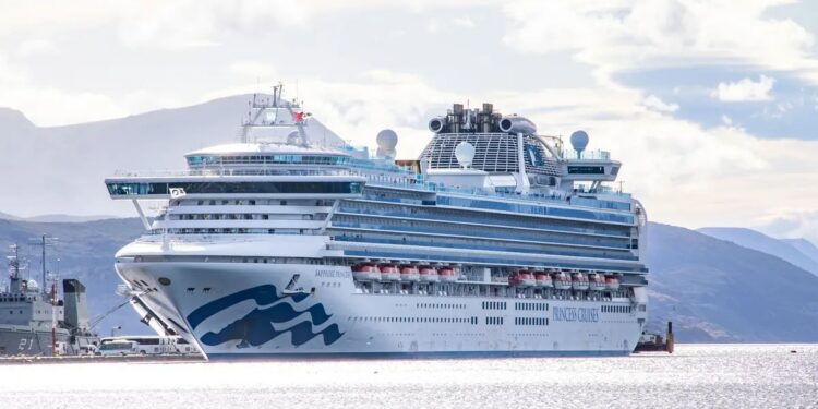 Llegaron casi 180 mil turistas en cruceros durante enero, un 10% más que en la prepandemia