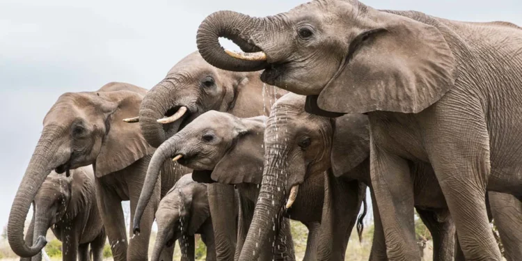 Los mejores destinos de National Geographic para el 2023