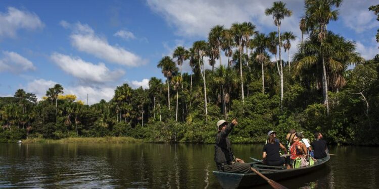 Más de 100 canoeros reducen sus viajes hasta en 85% por bloqueo de la carretera Interoceánica Puerto Maldonado protestas transporte fluvial | PERU
