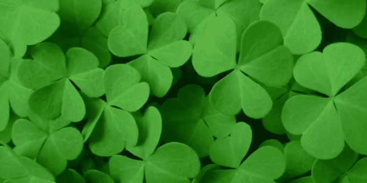 Mejores ciudades para festejarlo en EEUU