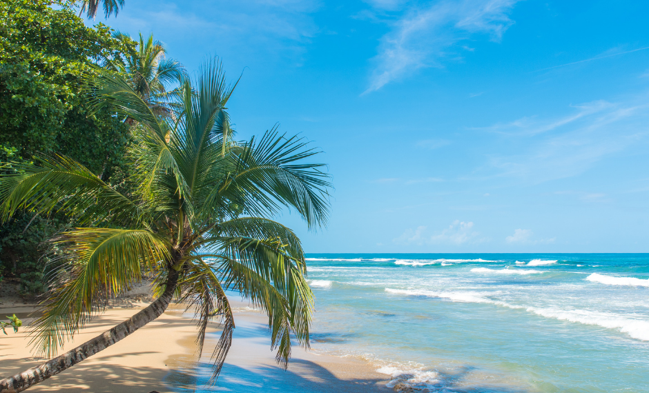 Natura Tours & Travel Costa Rica