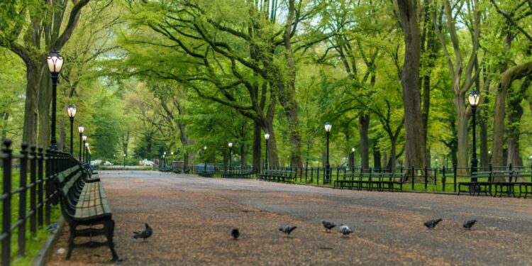 Nueva York en Mérida: Así será en nuevo 'Central Park' que tendrá la capital de Yucatán