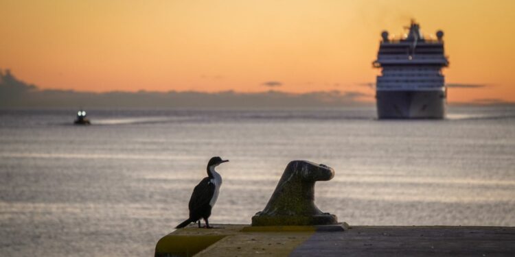 Oceania Marina arriba a Puerto Madryn con más de 1.900 personas a bordo