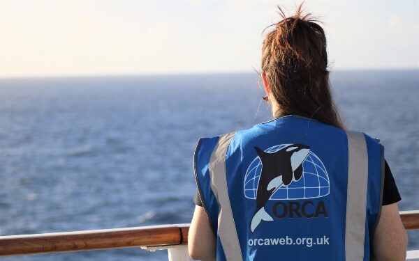 Orca realiza más de 4.400 avistamientos de vida silvestre en cruceros de Fred. Olsen