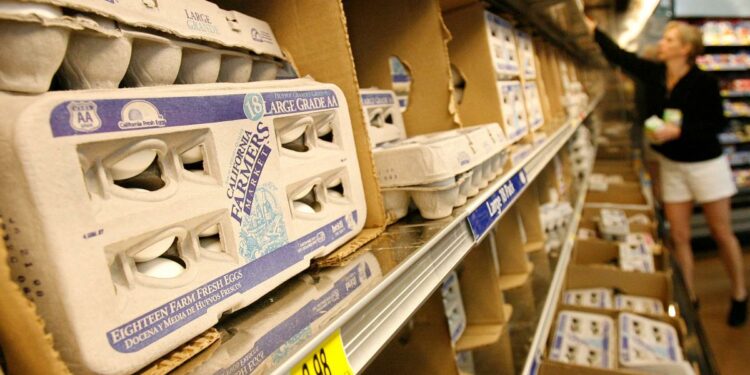 Precio del huevo toca récord en EU; venden a 4.80 dólares la docena