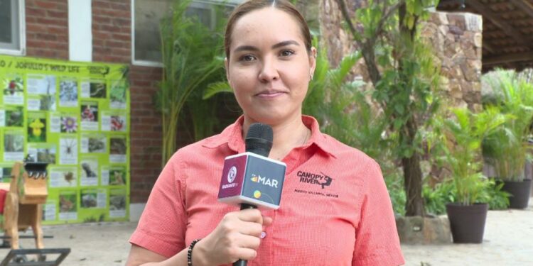 Mirsa Noelia Curiel Fregoso, directora del área de e-commerce