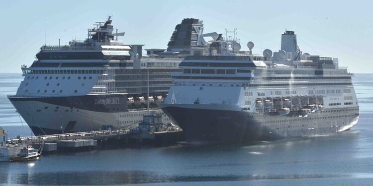 Puerto Madryn buscará captar los cruceros que anualmente pasan por la boca del Golfo Nuevo