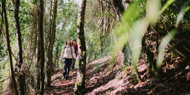 Revisa los mejores destinos de vacaciones en Temuco y en la zona sur de Chile