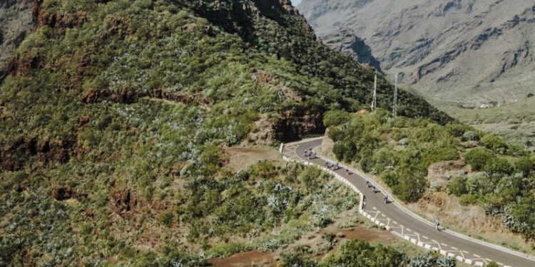 Baobab Suites Tenerife