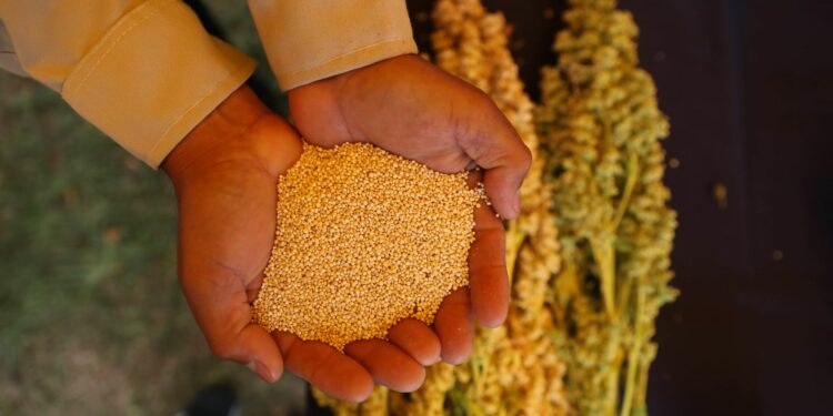 ANDINA/Carla Patiño Ramírez