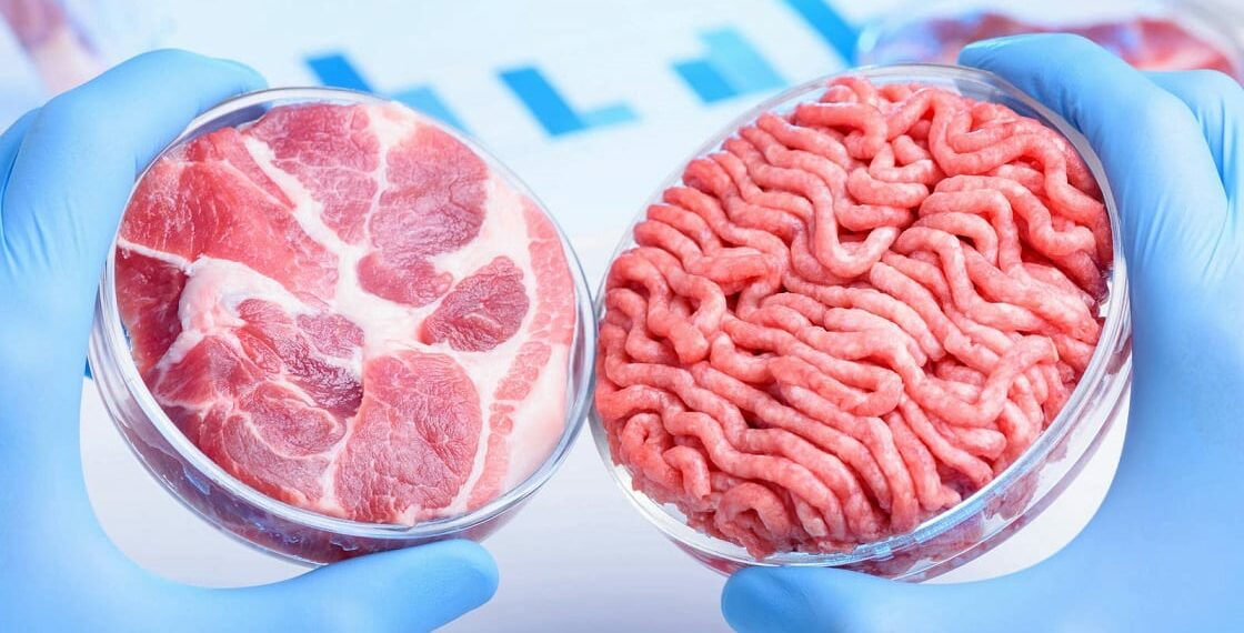 alimentos-basados-en-células