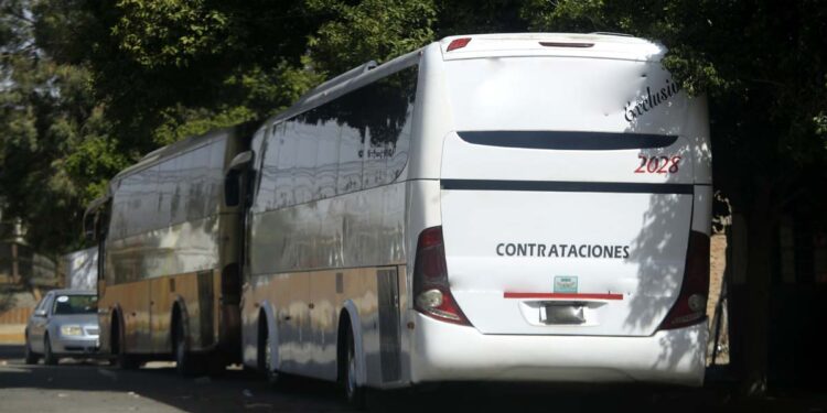 contratar agencias de viaje pirata sale caro Grupo Milenio