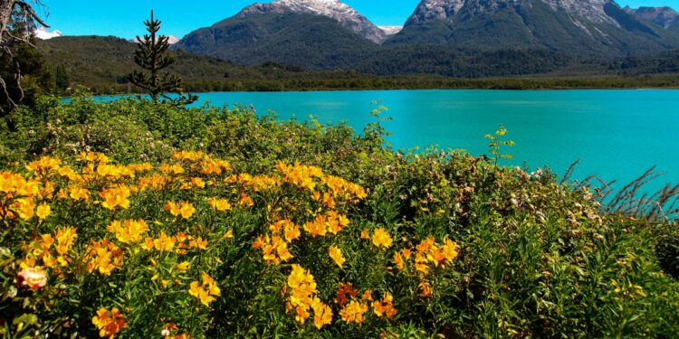 los mejores lugares para conocer gratis en Bariloche