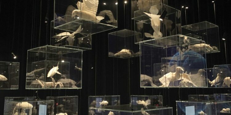 Espacio Barceloneses