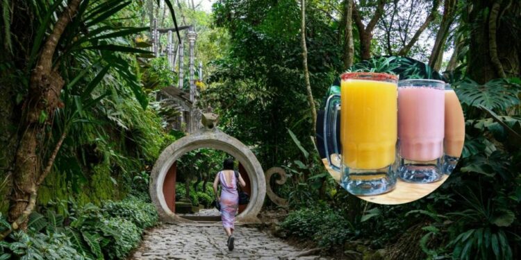¡Salud! La Ruta del Pulque que podrás disfrutar en tu viaje por San Luis Potosí