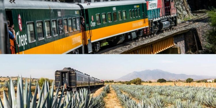 ¡Todos a bordo! Dos rutas de trenes para viajar por México