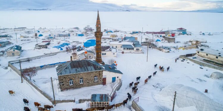 Kars