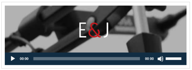 Cómo es vivir en un crucero por 78 euros al día