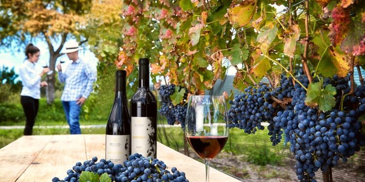 4 festivales gastronómicos que podrás disfrutar este año en México