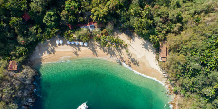 7 recomendaciones para tu próxima visita a Puerto Vallarta