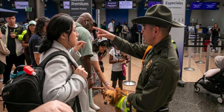Aerolíneas extienden fecha del plan de apoyo a usuarios de Viva; ¿hasta cuándo va la ayuda?