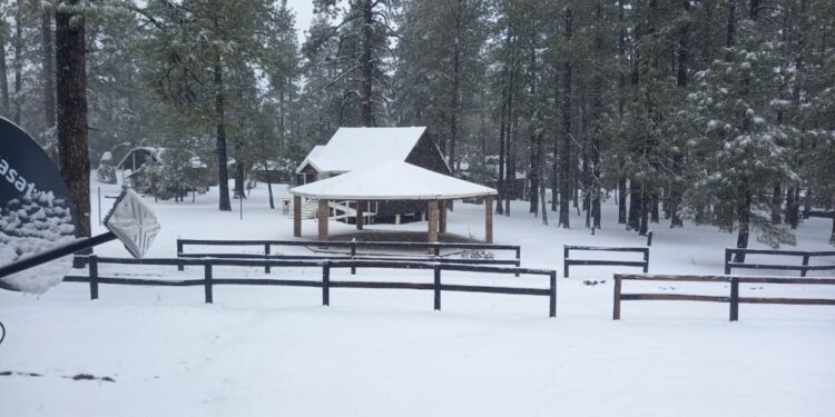 Alertan California y BC por nieve y lluvias; piden evitar viajes innecesarios