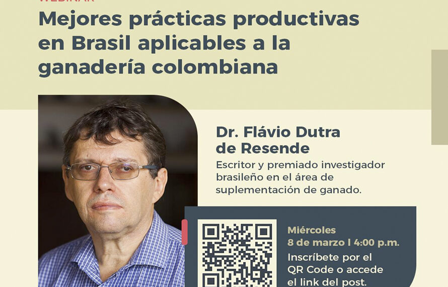 Aprenda las prácticas productivas de la ganadería en Brasil
