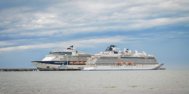Argentina: Cruceros Celebrity Infinity y Viking Jupiter arriban a Puerto Madryn