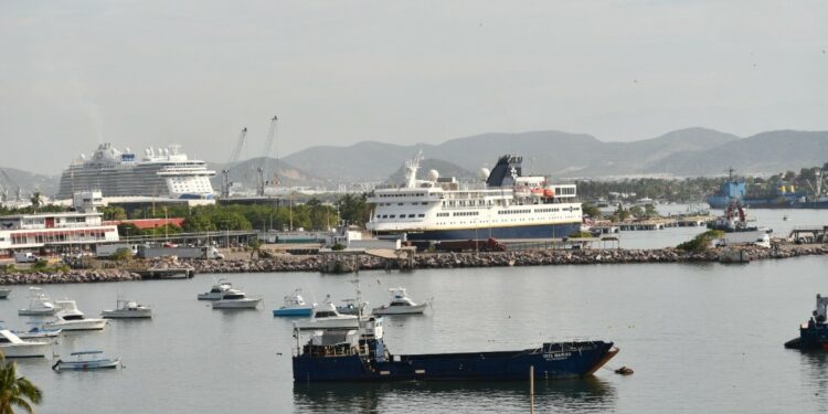 Codesin Zona Sur pide al gobierno federal una terminal de cruceros