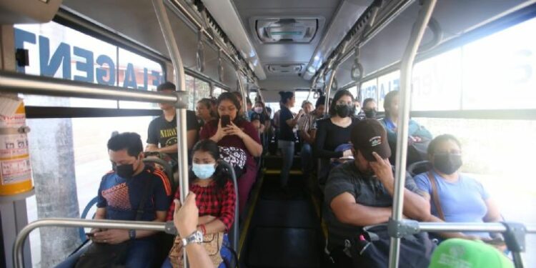 Comienzan los viajes gratis en el Circuito Metropolitano Va y Ven en Mérida