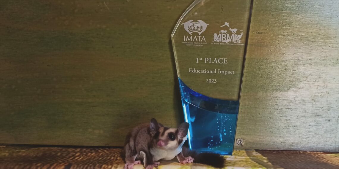 The Dolphin Company, es reconocido a nivel mundial por el el entrenamiento y cuidado de los animales