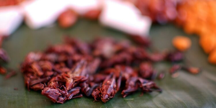 Crece demanda de viajes a destinos culinarios en México: Expedia Grupo Milenio