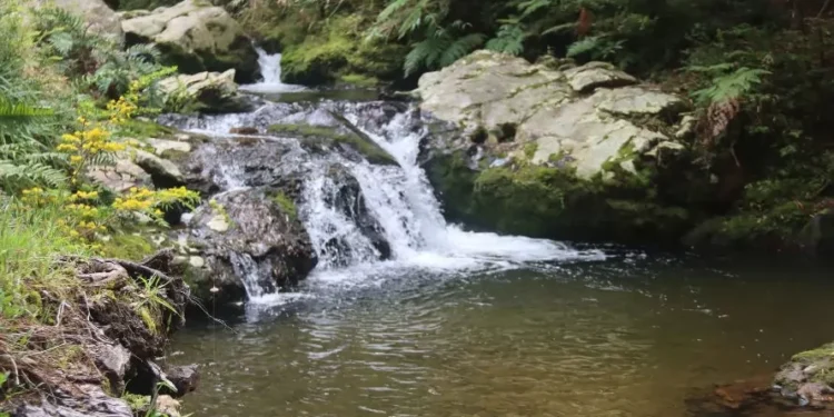 Destinos de Turismo Rural de INDAP Los Lagos se sumarán a la destacada web de Reserva de Campings